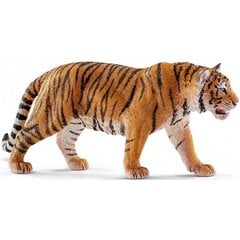 Figūrėlė Azijos tigras Schleich kaina ir informacija | Lavinamieji žaislai | pigu.lt