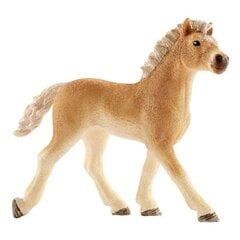 Figūrėlė Haflinger kumeliukas Schleich kaina ir informacija | Lavinamieji žaislai | pigu.lt