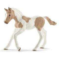 Фигурка ЛОшадь Schleich Horse Club цена и информация | Игрушки для девочек | pigu.lt