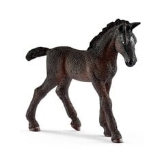 Фигурка липиканской породы жеребенка Schleich цена и информация | Развивающие игрушки | pigu.lt