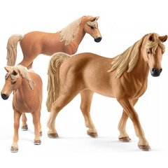 Figūrėlė Mare Tennessee Walker Schleich kaina ir informacija | Lavinamieji žaislai | pigu.lt