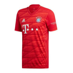 Marškinėliai vyrams Adidas FC Bayern Home Jsy DW7410, raudoni kaina ir informacija | Vyriški marškinėliai | pigu.lt