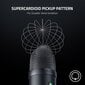 Mikrofonas Razer Seiren V2 X цена и информация | Mikrofonai | pigu.lt