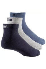 Носки PUMA 271080001532-43/46 цена и информация | Мужские носки | pigu.lt