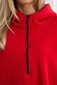 Džemperis moterims 20513, raudonas цена и информация | Džemperiai moterims | pigu.lt