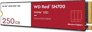WD WDS250G1R0C цена и информация | Внутренние жёсткие диски (HDD, SSD, Hybrid) | pigu.lt