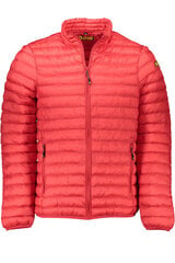 Куртка мужская Ciesse Outdoor цена и информация | Мужские куртки | pigu.lt