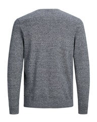 ack & Jones мужская толстовка 12211451*03, светло-серый 5715309741695 цена и информация | Мужской джемпер | pigu.lt