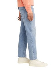Мужские джинсы Levi' s, синие цена и информация | Mужские джинсы Only & Sons Loom 5714910844399 | pigu.lt