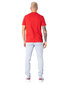 Marškinėliai vyrams Le Coq Sportif, raudoni kaina ir informacija | Vyriški marškinėliai | pigu.lt
