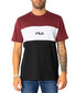 Marškinėliai vyrams Fila BFNG305762 kaina ir informacija | Vyriški marškinėliai | pigu.lt