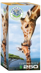 Dėlionė Eurographics, 8251-0294, Giraffes, 250 d. kaina ir informacija | Dėlionės (puzzle) | pigu.lt