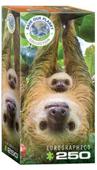 Пазл Eurographics, 8251-5556, Sloths, 250 шт. цена и информация | Пазлы | pigu.lt