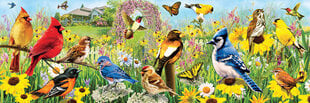 Пазл Eurographics, 6010-5338, Garden Birds, 1000 шт. цена и информация | Пазлы | pigu.lt