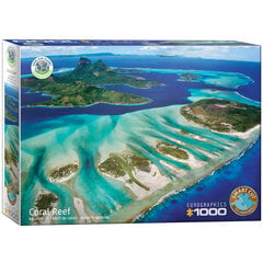 Dėlionė Eurographics, 6000-5538, Coral Reef, 1000 d. kaina ir informacija | Dėlionės (puzzle) | pigu.lt