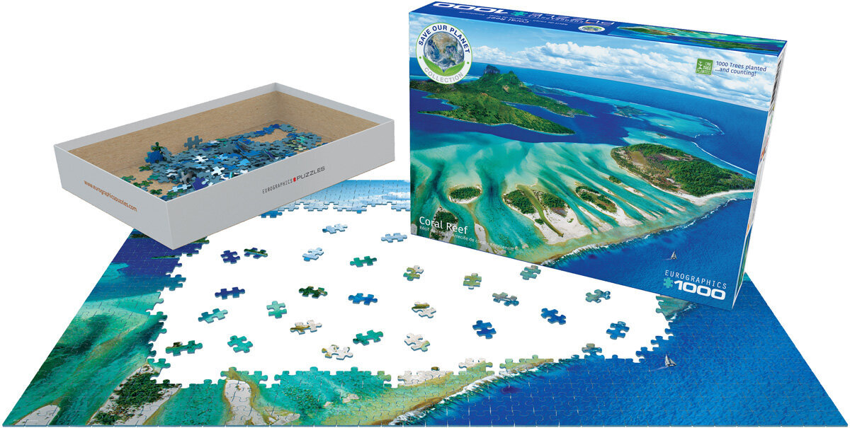 Dėlionė Eurographics, 6000-5538, Coral Reef, 1000 d. kaina ir informacija | Dėlionės (puzzle) | pigu.lt