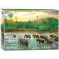 Dėlionė Eurographics, 6000-5540, Rainforest, 1000 d. kaina ir informacija | Dėlionės (puzzle) | pigu.lt