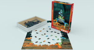 Dėlionė Eurographics, 6000-2776, Red-Eyed Tree Frog, 1000 d. kaina ir informacija | Dėlionės (puzzle) | pigu.lt
