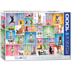 Dėlionė Eurographics, 6000-0954, Yoga Dogs, 1000 d. kaina ir informacija | Dėlionės (puzzle) | pigu.lt
