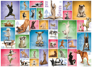 Dėlionė Eurographics, 6000-0954, Yoga Dogs, 1000 d. kaina ir informacija | Dėlionės (puzzle) | pigu.lt