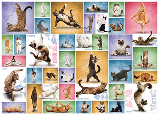 Dėlionė Eurographics, 6000-0953, Yoga Cats, 1000 d. kaina ir informacija | Dėlionės (puzzle) | pigu.lt
