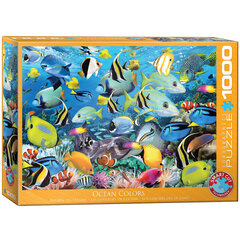 Dėlionė Eurographics, 6000-0625, Ocean Colors, 1000 d. kaina ir informacija | Dėlionės (puzzle) | pigu.lt
