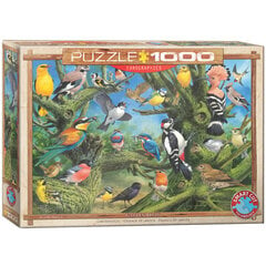 Dėlionė Eurographics, 6000-0967, Garden Birds, 1000 d. kaina ir informacija | Dėlionės (puzzle) | pigu.lt