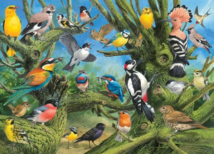 Пазл Eurographics, 6000-0967, Garden Birds, 1000 шт. цена и информация | Пазлы | pigu.lt