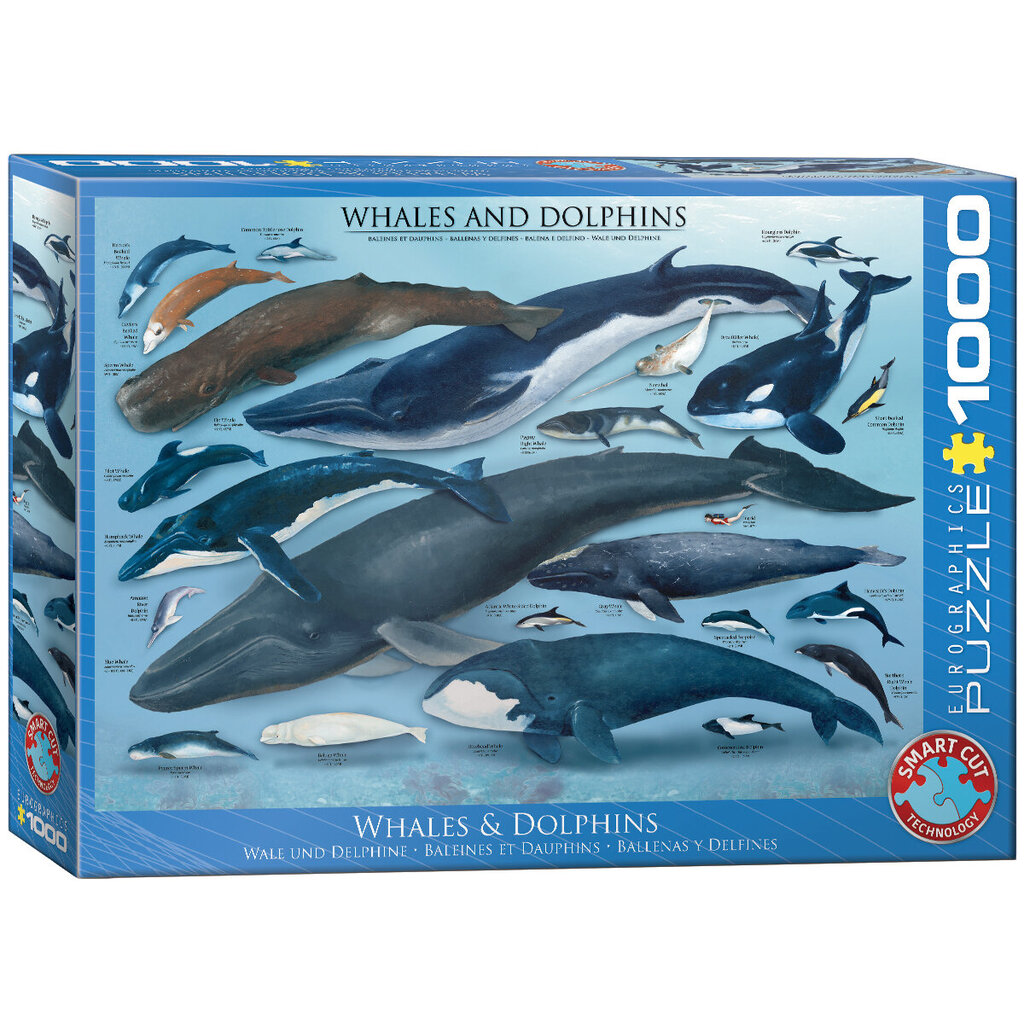 Dėlionė Eurographics, 6000-0082, Whales and Dolphins, 1000 d. kaina ir informacija | Dėlionės (puzzle) | pigu.lt