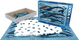 Dėlionė Eurographics, 6000-0082, Whales and Dolphins, 1000 d. kaina ir informacija | Dėlionės (puzzle) | pigu.lt