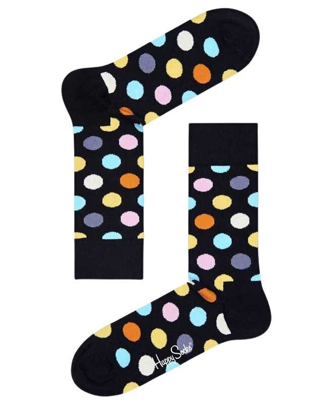 Kojinės vyrams Happy Socks kaina ir informacija | Vyriškos kojinės | pigu.lt