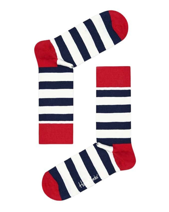 Kojinės vyrams Happy Socks kaina ir informacija | Vyriškos kojinės | pigu.lt