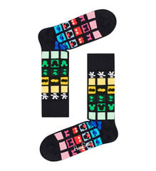 Kojinės vyrams Happy Socks kaina ir informacija | Vyriškos kojinės | pigu.lt