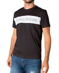 Мужская футболка Calvin Klein, черная цена и информация | Мужские футболки | pigu.lt