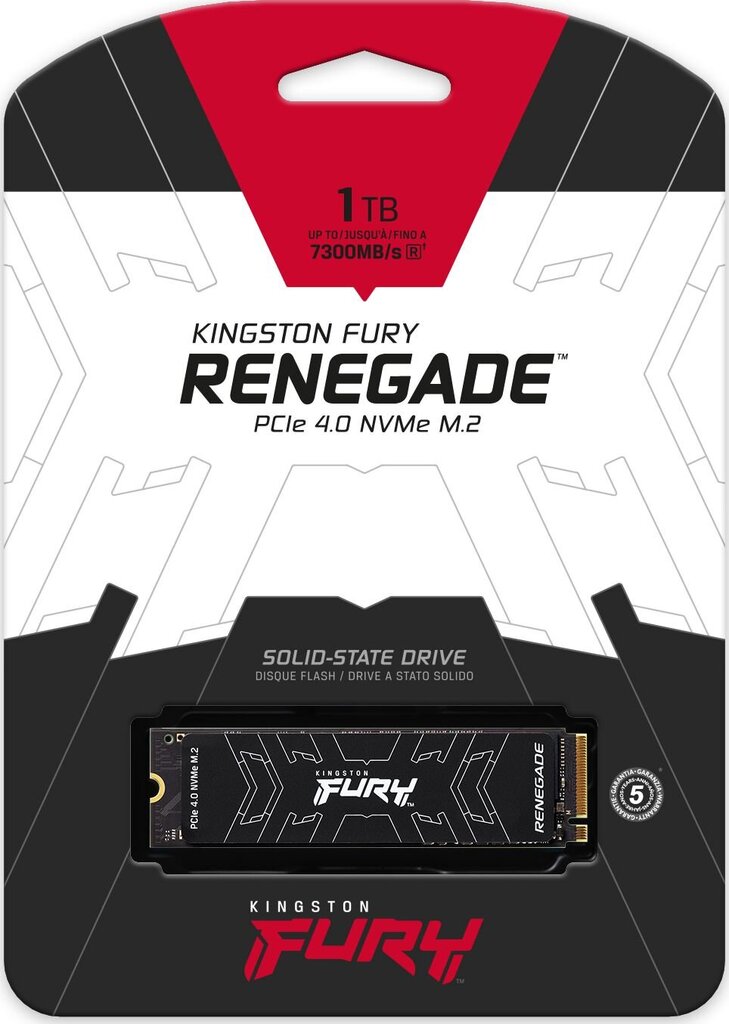 Kingston SFYRS/1000G  kaina ir informacija | Vidiniai kietieji diskai (HDD, SSD, Hybrid) | pigu.lt