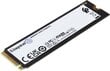 Kingston SFYRS/1000G  kaina ir informacija | Vidiniai kietieji diskai (HDD, SSD, Hybrid) | pigu.lt