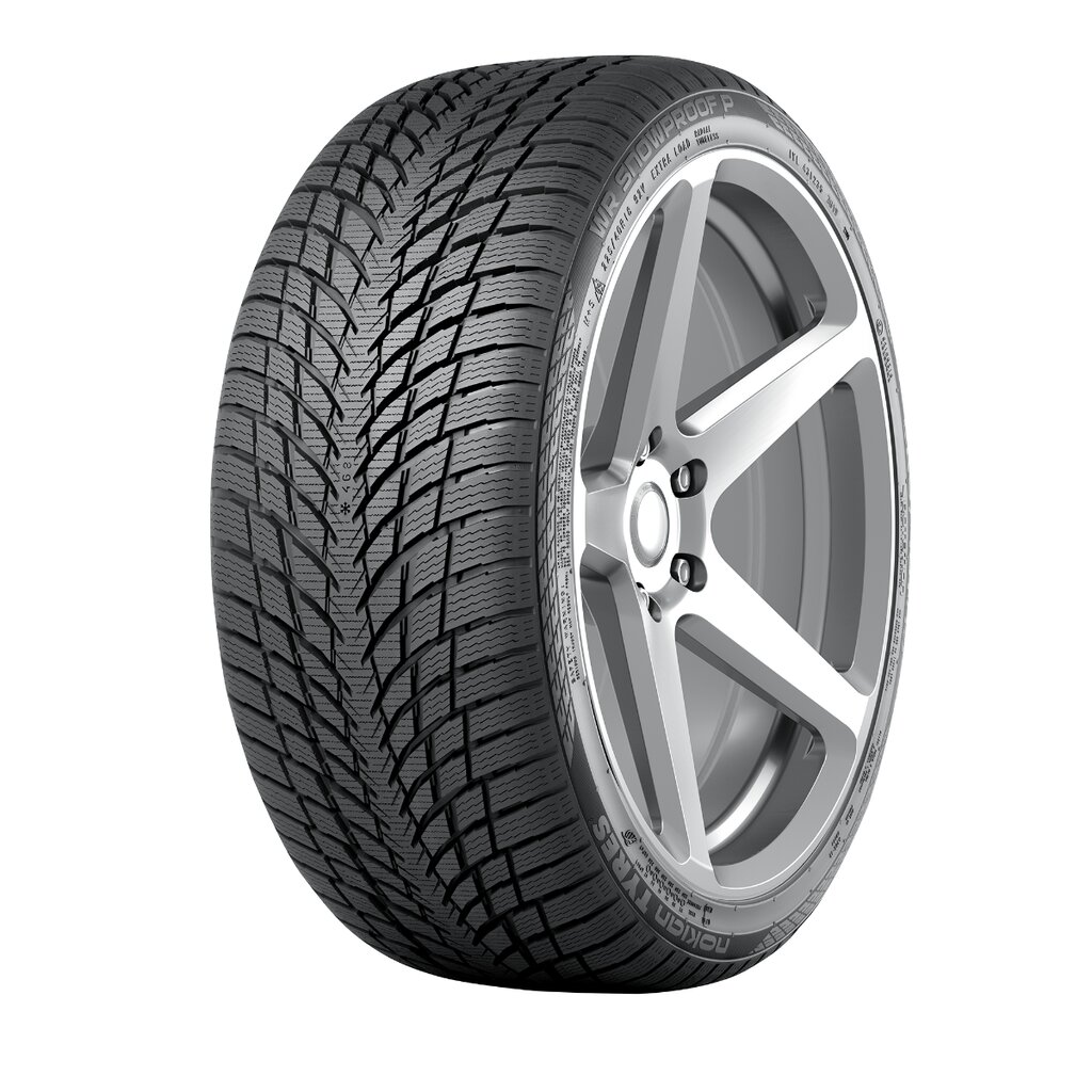 NOKIAN WR Snowproof P 225/45R18 95V XL kaina ir informacija | Žieminės padangos | pigu.lt