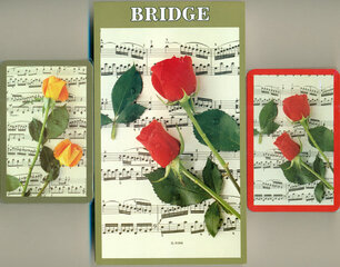 Tilto žaidimo kortos „Music &amp; Roses“ D kaina ir informacija | Azartiniai žaidimai, pokeris | pigu.lt