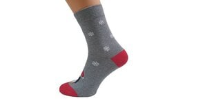Kojinės moterims Largo, pilkos kaina ir informacija | Moteriškos kojinės | pigu.lt