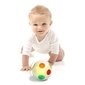 Vaikiškas kamuolys su šviesomis ir muzika kaina ir informacija | Žaislai kūdikiams | pigu.lt