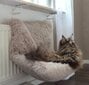 Lova katei Shaggi kaina ir informacija | Guoliai, pagalvėlės | pigu.lt