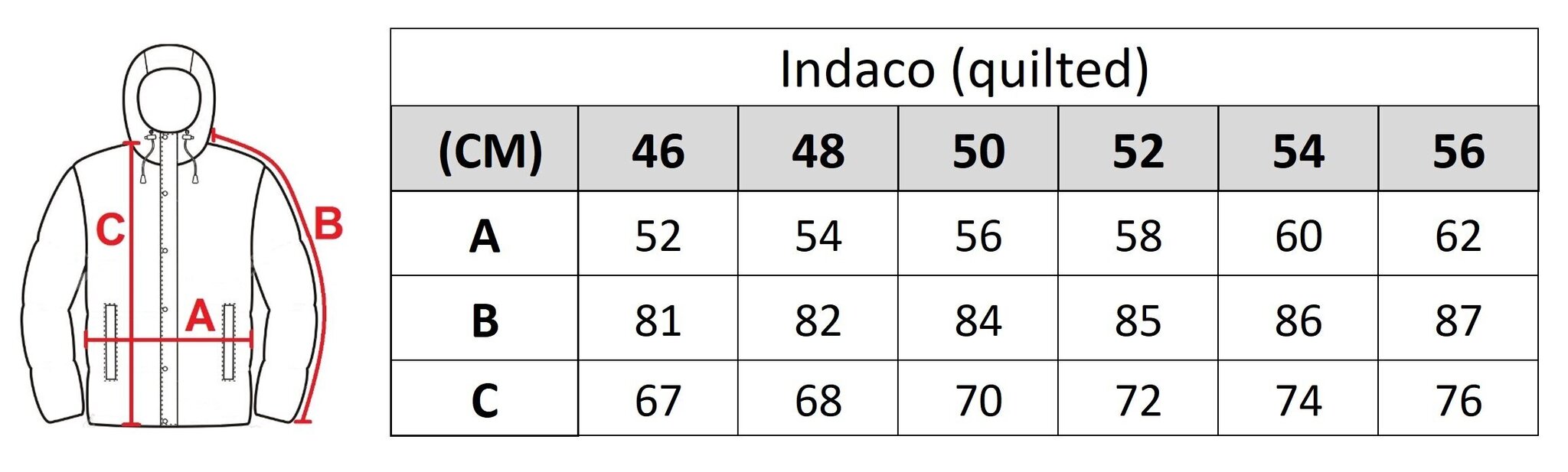 Striukė vyrams Indaco 1098, žalia kaina ir informacija | Vyriškos striukės | pigu.lt