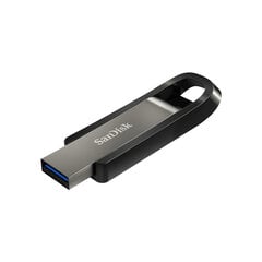 Sandisk Extreme Go 256GB цена и информация | USB накопители | pigu.lt