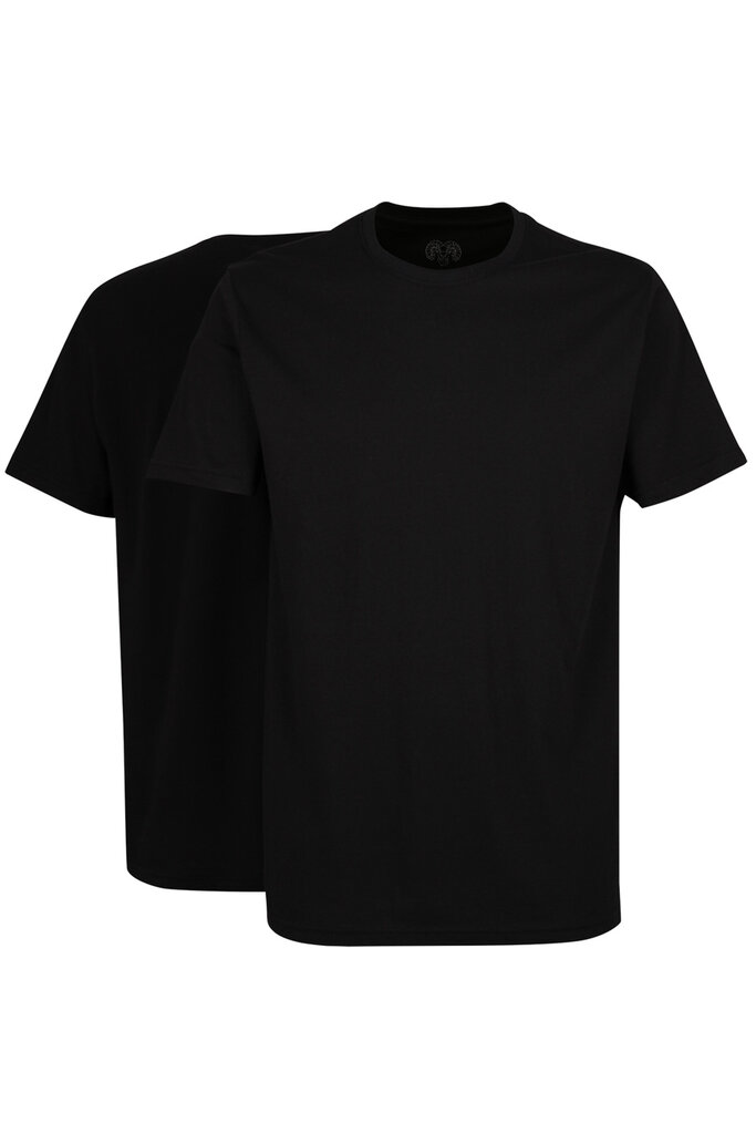 Marškinėliai vyrams Ceceba 157350689000, juodi kaina ir informacija | Vyriški marškinėliai | pigu.lt