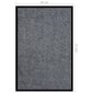 Durų kilimėlis 80x120 cm kaina ir informacija | Durų kilimėliai | pigu.lt