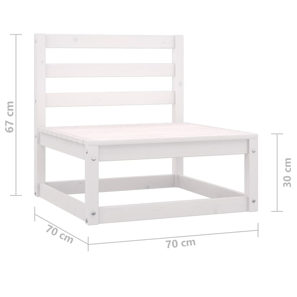 Sodo poilsio baldų komplektas, 2 dalių, baltas kaina ir informacija | Lauko baldų komplektai | pigu.lt