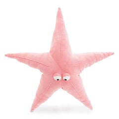 Звезда (Морская) цена и информация | Игрушки для малышей | pigu.lt