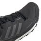 Sportiniai batai vyrams Adidas Terrex Skychaser 2 GTX M FX4547, juodi kaina ir informacija | Kedai vyrams | pigu.lt