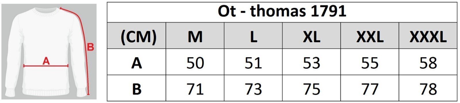 Megztinis vyrams Ot-thomas 1791, mėlynas цена и информация | Megztiniai vyrams | pigu.lt