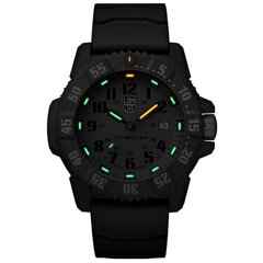 Vyriškas laikrodis Luminox Master Carbon SEAL XS.3813.L kaina ir informacija | Vyriški laikrodžiai | pigu.lt